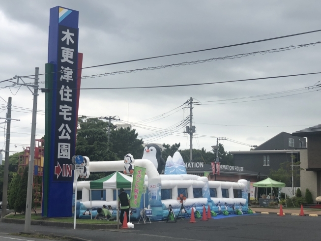 ペンギンミスト迷路「デカいです！ペンギンミスト迷路！！【木更津市民会館の隣りにある総合住宅展示場】」