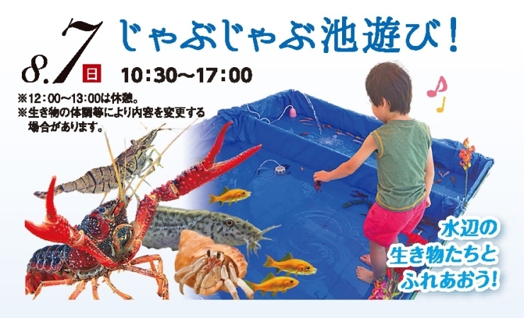 じゃぶじゃぶ池遊び「７日は「じゃぶじゃぶ池遊び」開催します！！【木更津市民会館の隣りにある総合住宅展示場】」