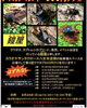 「8/28(日) クワカブイベント！！」