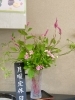 「8月8日(月)定休日です」