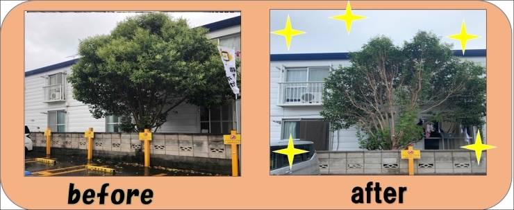 「大きな木を切ってきましたよ～！江戸川区のなんでも屋さんです！エアコンクリーニング・草抜き・枝切り・家具移動・不用品処理のお手伝いも！！お見積りは無料です！」