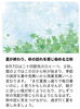 立秋(りっしゅう)どんな日？「立秋過ぎましたね。【宮崎市 メディセル 筋膜リリース むくみ セルライト 肩こり腰痛 歪み 脳洗浄 頭痛 不眠 よもぎ蒸し 冷え】」