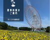 「夏季休業のご案内★まいぷれ江戸川区編集部　8月11日～15日　夏休みをいただいてフル充電！休み明け元気に営業を再開します！！」