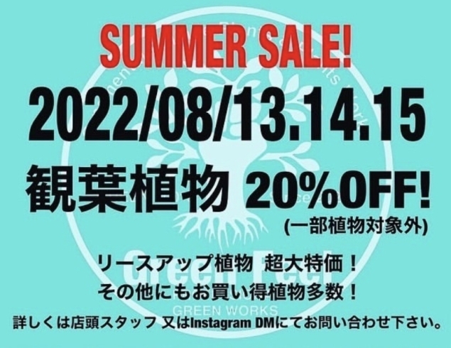 「SUMMER SALE！　観葉植物20%OFF！【福島市　観葉植物専門店】」