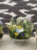 ビオラやデルフィの小さな花たち「偲ぶ」