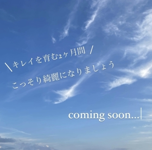 「新しいことが始まる...予感」