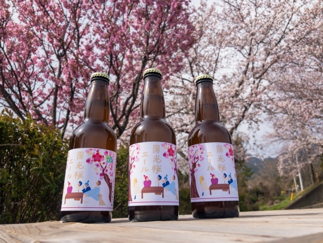 陽光桜エール「 陽光桜ビール再入荷してます♪」