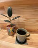 「深煎りのコーヒーが変わりました☕️」