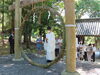 茅の輪くぐり神事「令和4年夏祭り、無事斎行致しました」