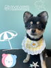 「可愛い子ちゃん♡ Dog salon mofu mofu 余市町」