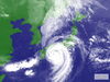 「台風の影響によっては、、、」