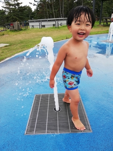 「本日は定休日です♪よい日曜日を！(*^^*)」