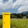 こんなところに「どこでもドア・・・？」
