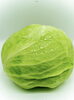 「葉物野菜がダイエットに良い理由」