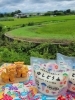 京都で沖縄の豆腐、ゆしどうふ(^-^)/「沖縄気分のゆしどうふ(^-^)/《西京区　ちむどんどん　ゆし豆腐　沖縄》」