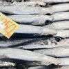 「魚魚市場鮮魚コーナーおすすめは「トビウオ・クロムツ」です♪」