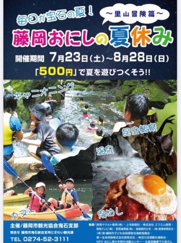 チラシ1「藤岡市「桜山公園」に関する2022年度調査研究」