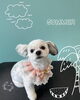 「可愛い子ちゃん♡ Dog salon mofu mofu 余市町」