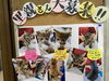 「子猫里親さん募集のお知らせ」