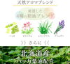 「虫刺されの季節」
