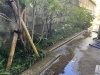 施工後「日陰でも植物を楽しめる庭。横浜市磯子区金沢区、植木、造園のご相談は庭一。」