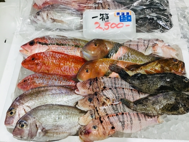 「魚魚市場鮮魚コーナーおすすめは「お魚セット」です♪」
