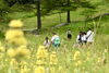クサレダマ「入笠山で「五感に響く夏」を」