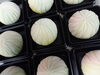 「練り切り　ご依頼　花火」