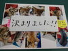 「里親募集の子猫ちゃん、新しい飼い主さんが決まりました！」