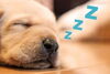 眠れない人に知ってほしい「眠れないあなたへ【LIHI 宮崎市 メディセル 筋膜リリース むくみ セルライト 肩こり腰痛 歪み 脳洗浄 頭痛 不眠 よもぎ蒸し 冷え】」