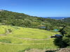 「鴨川に広がる夏の棚田　【千葉 稲毛 美浜 浅間神社近くの写真館★着物・和装撮影はプロにお任せ】」