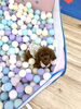 ぷぷちゃん「ましゅまろ幼稚園　(^.^)」