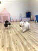 追いかけっこ中　飛んでるぷっかくんとぱんちゃん「ましゅまろ幼稚園　（＾ν＾）」