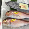「魚魚市場おすすめ商品は「アマダイ」です♪」
