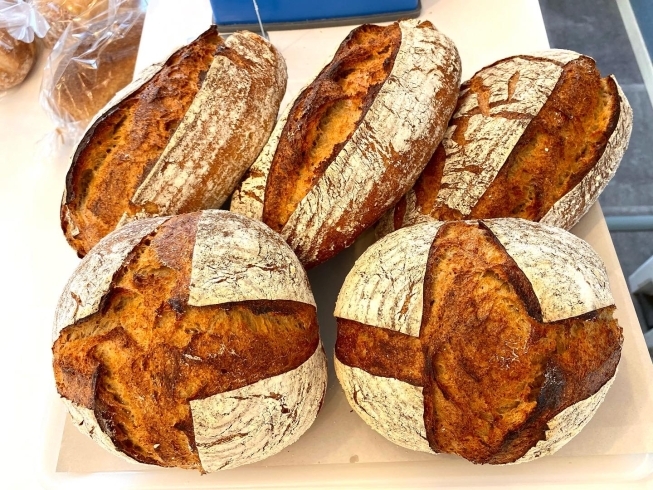 自家製サワー種の北海道産ライ麦のパン（ライ麦20）「自家製酵母のパン（札幌市西区西野ベーカリーベル本店）」