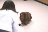 ライラちゃん「今日のお友達」