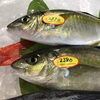 「魚魚市場鮮魚コーナーおすすめは「シマアジ・地タコ」です♪」