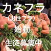 カネフラ「カネフラ（男性フラ）始動！あなたも力強くカッコ良く、男性の魅力を引き出して踊りませんか？橿原市Luana hula studio フラダンス教室」