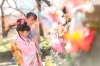七五三撮影「七五三出張撮影 or スタジオ」