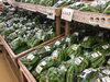 新鮮野菜「たくさんの野菜や果物が揃ってま～す！」