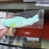 マシュマロの鮎菓子・・・！？