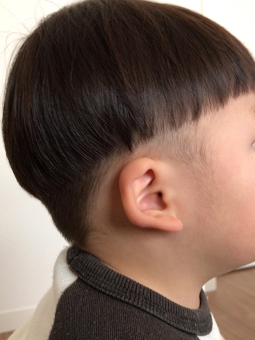 米子美容室ring 本日23日 土 カットのみ空きあり 美容室ring米子店のニュース まいぷれ 米子 米子美容室ring 本日23日 土 カットのみ空きあり 美容室ring米子店のニュース まいぷれ 米子