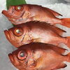 「魚魚市場鮮魚コーナーおすすめ商品は「チカメキントキ・イサキ」です♪」