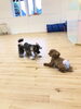 遊ぼっ♡  うん。遊ぼっ「ましゅまろ幼稚園　(^.^)」