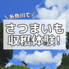 「大自然の中でさつまいも収穫体験！(サウナテントもあるよ)」