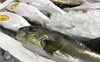 「魚魚市場鮮魚コーナーおすすめは「エビスダイ・レンコ鯛」です♪」
