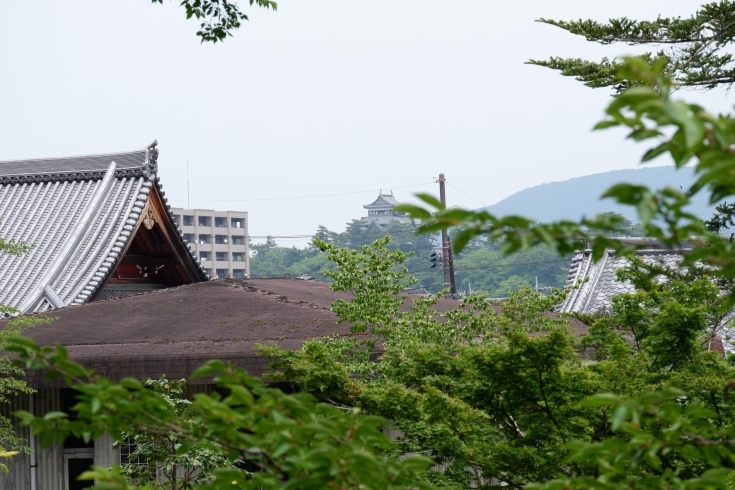 月照寺から見える松江城「ハンドクリームで手荒れ予防！！」