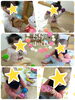 おもちゃでいっぱいあそんだよ♪「Happy birthday!と春色さがし♡【交野市・小規模保育園】」