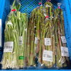 「地元産『山菜』多種類入荷します！道の駅木曽福島」