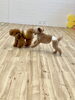 仲良く追いかけっこ「ましゅまろ幼稚園🐾」
